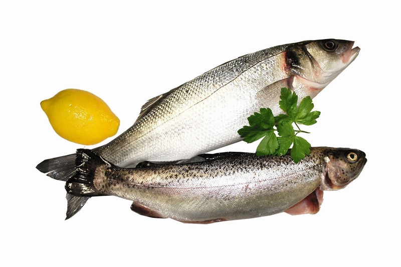 تغذیه سالم کودک + خواص ماهی